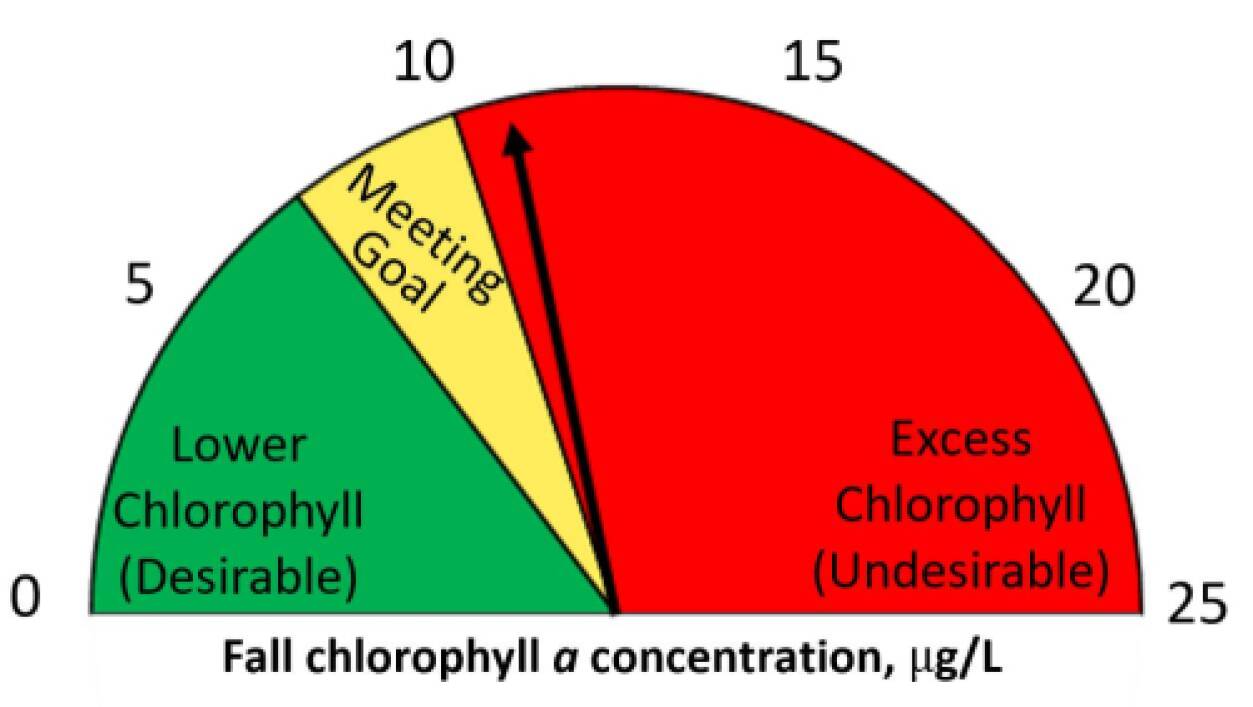 Fall 2025 chl a = 10.9 ug/L.